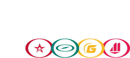 STORM CORPORATE LOGO